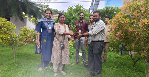 Honorable Superintendent plants a sapling